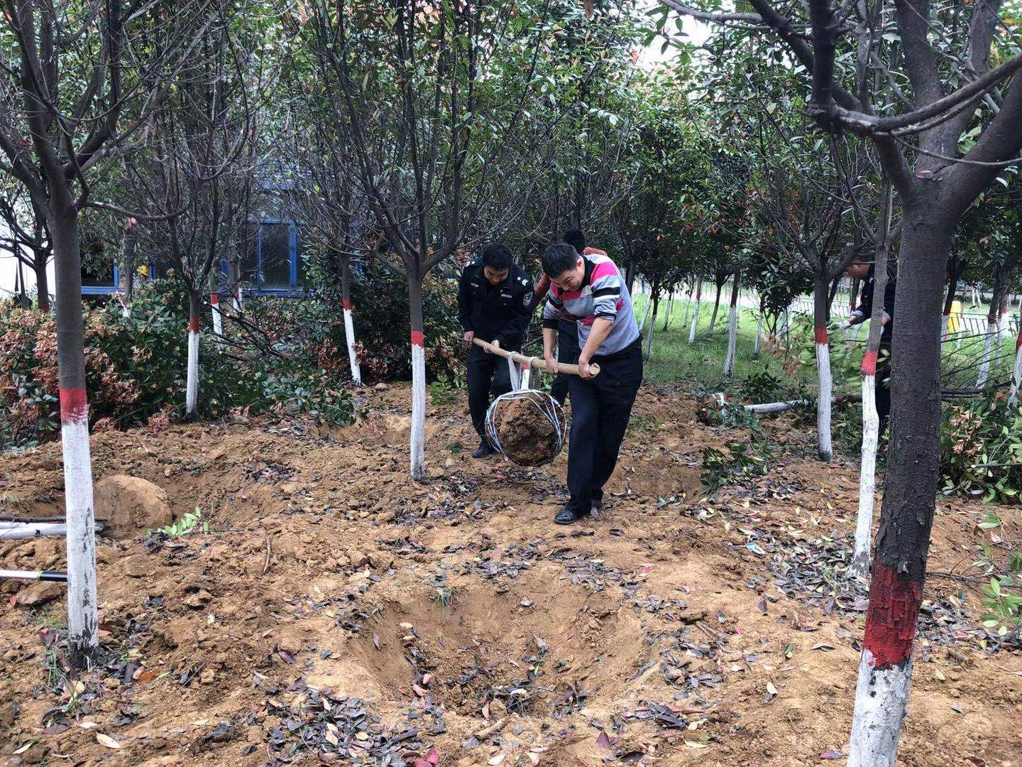 ����(ji��)֮̎�@���L(f��ng)--ֲ�九(ji��)����и�