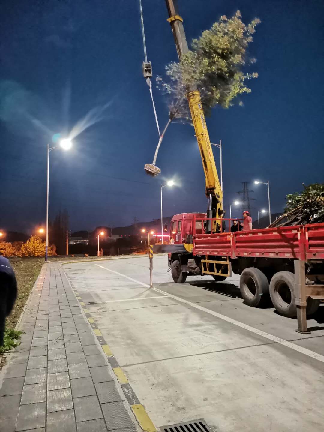 ����(ji��)֮̎�@���L(f��ng)--ֲ�九(ji��)����и�