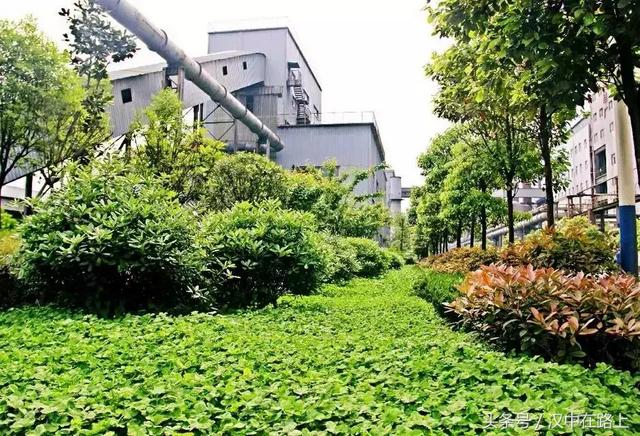 ���o(h��)�{(l��n)����� �ڵá������y��