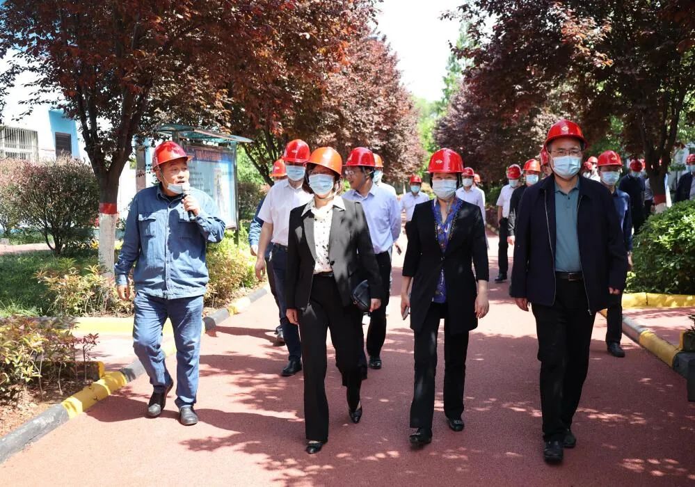 �����^(q��)����Fһ�е���˾���^����