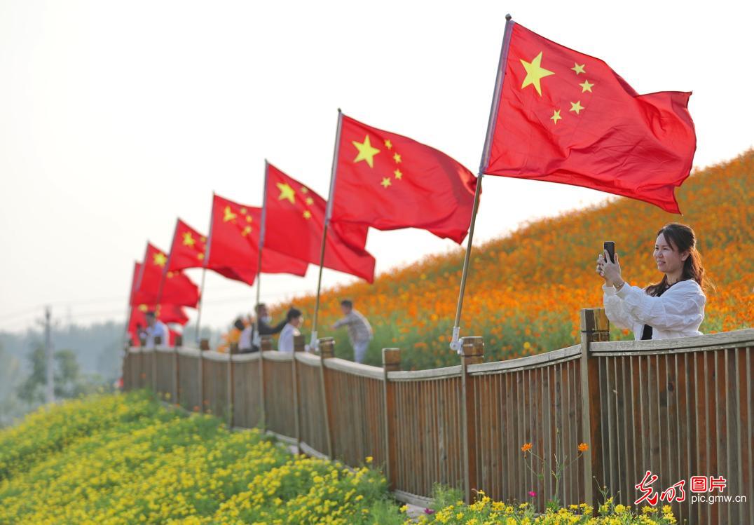 ɽ��������Ҋ(ji��n)�C��ꎵĄ���