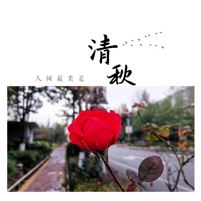 ���۽��Ǯ�����ʮ��䓳ǡ����ӡ�����