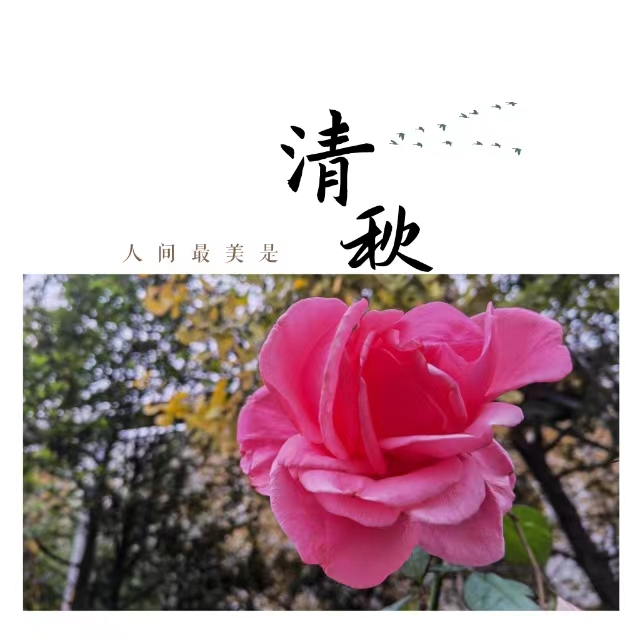 ���۽��Ǯ�����ʮ��䓳ǡ����ӡ�����