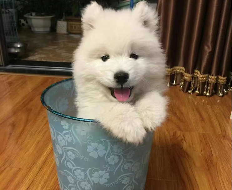 ���c��������