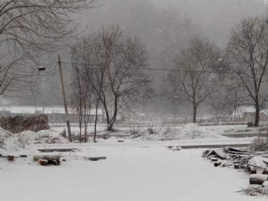 ѩ����f���l(xi��ng)��