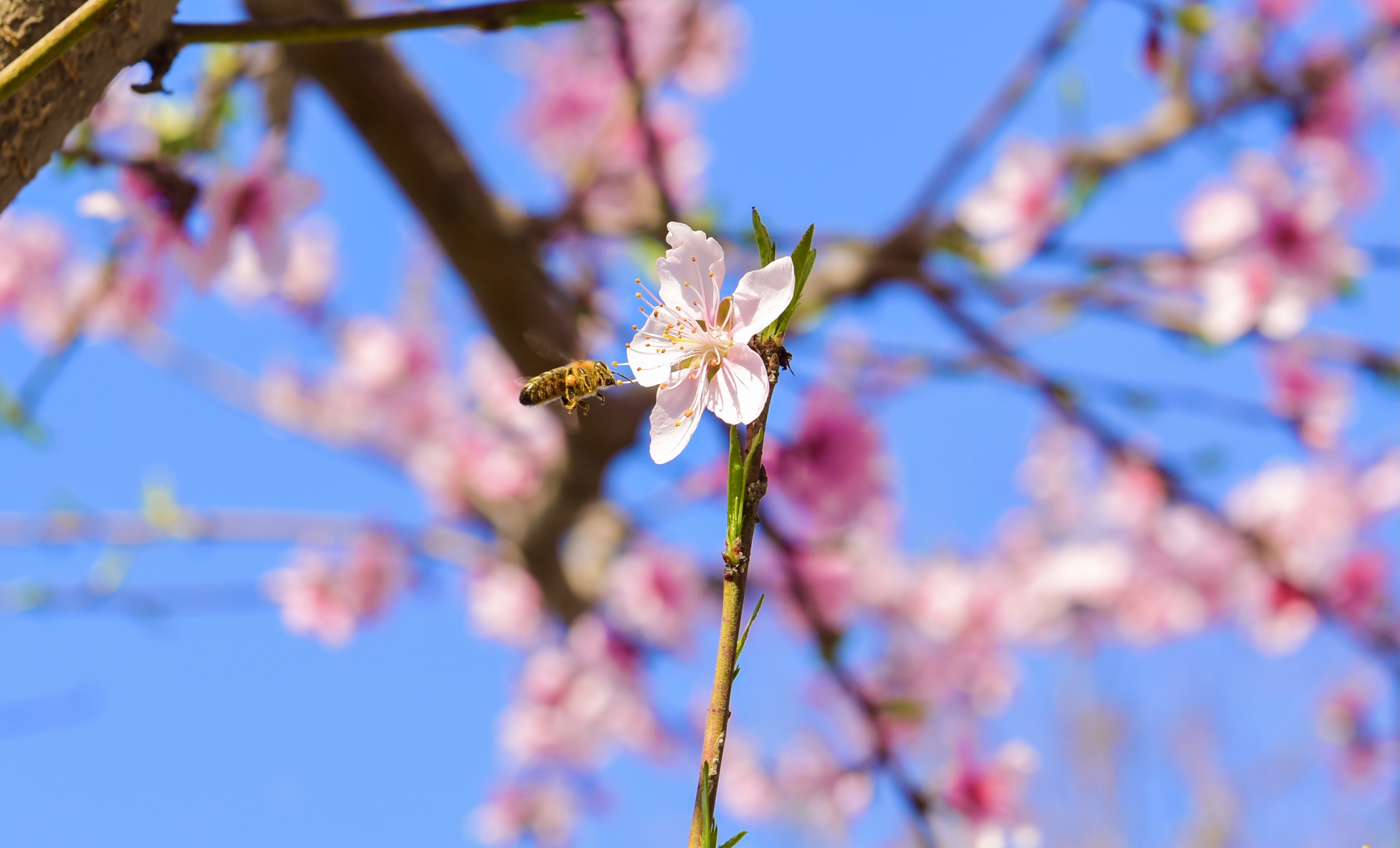 ���������