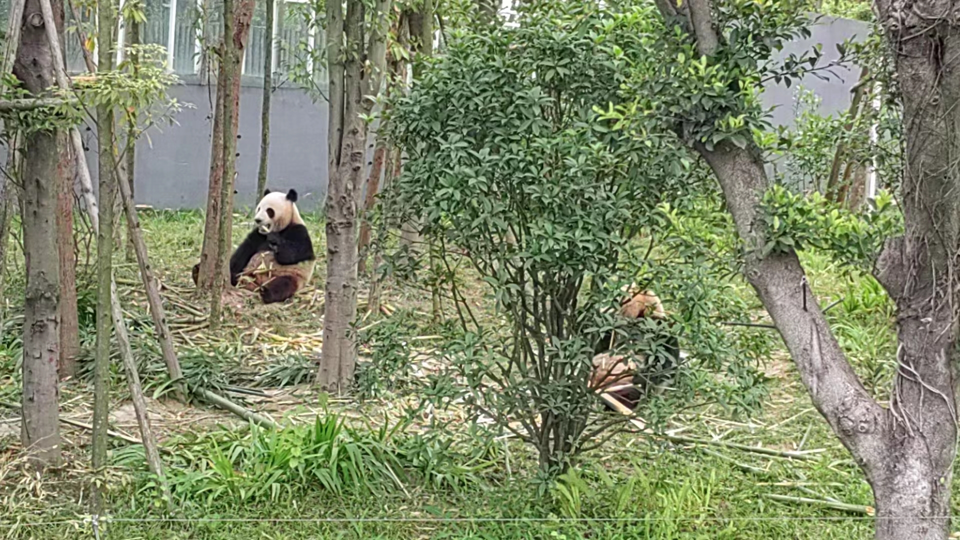 �ɶ�����