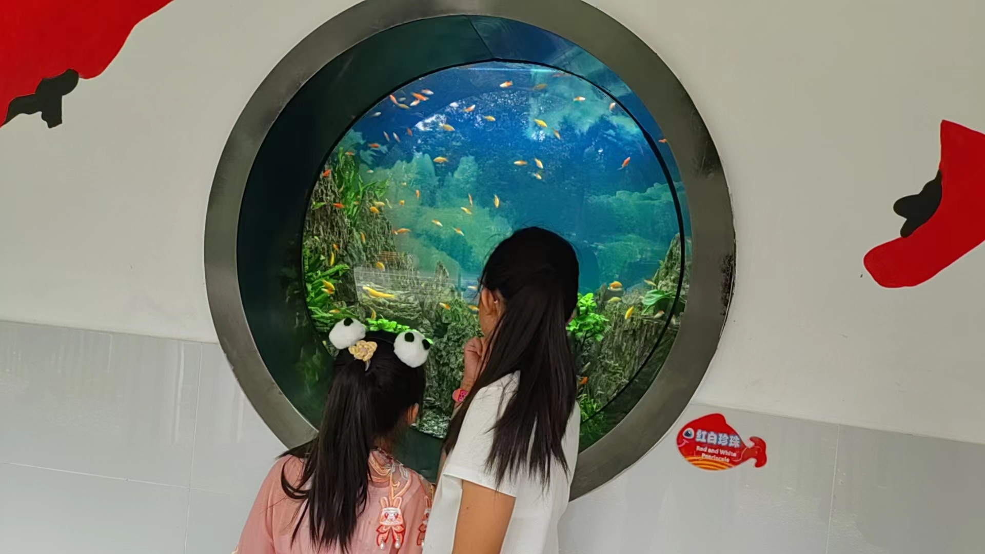 �ɶ�����