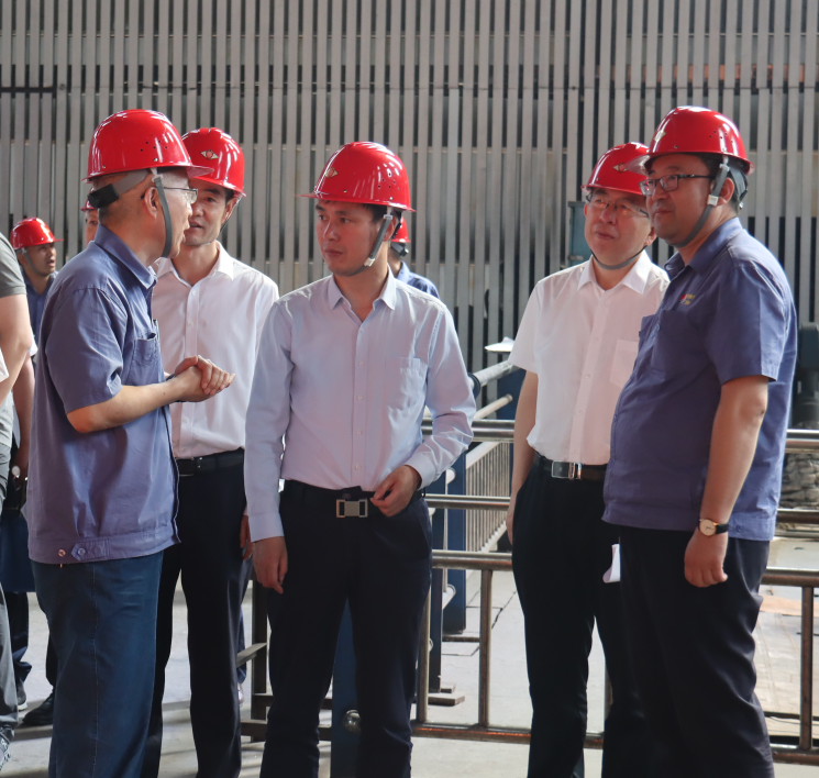 ���W(w��ng)���ʡ������޹�˾����˾�{(di��o)����Մ