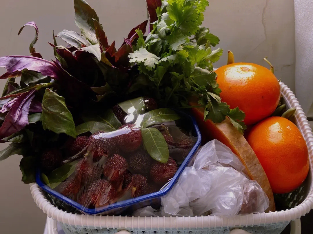 ĸ�H�Ĳ˻@��