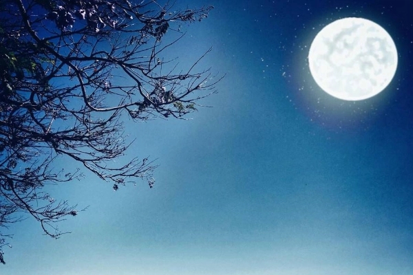 ���ǹ��l(xi��ng)��