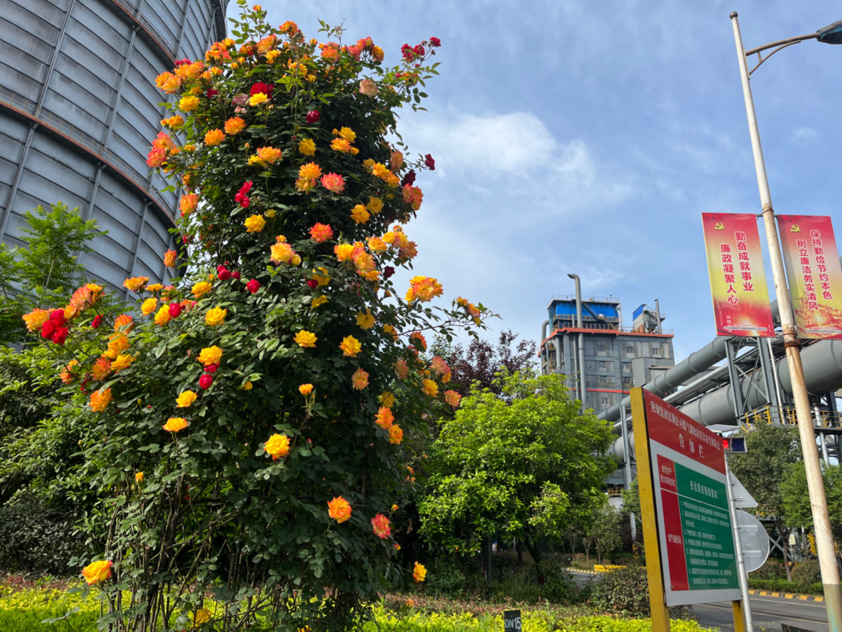 鋼城尋秋 鋼城尋秋