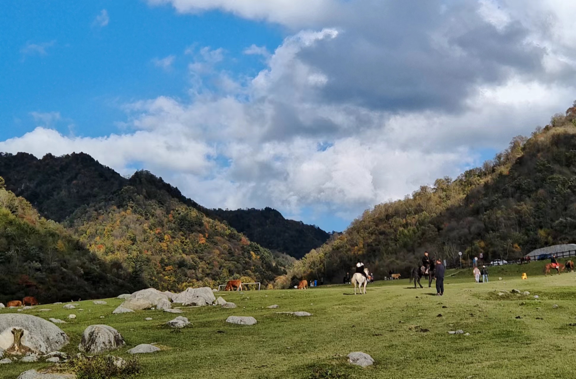 ��δ�ɽ�������