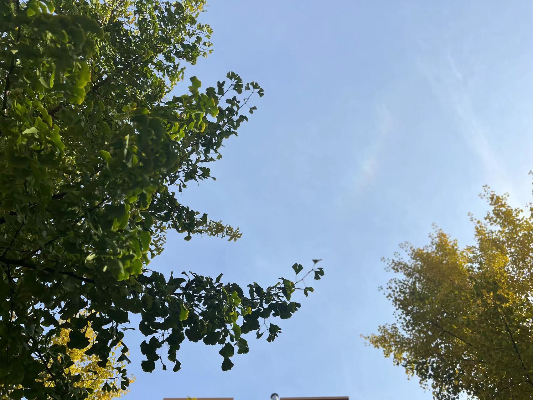 ������ů�y���S