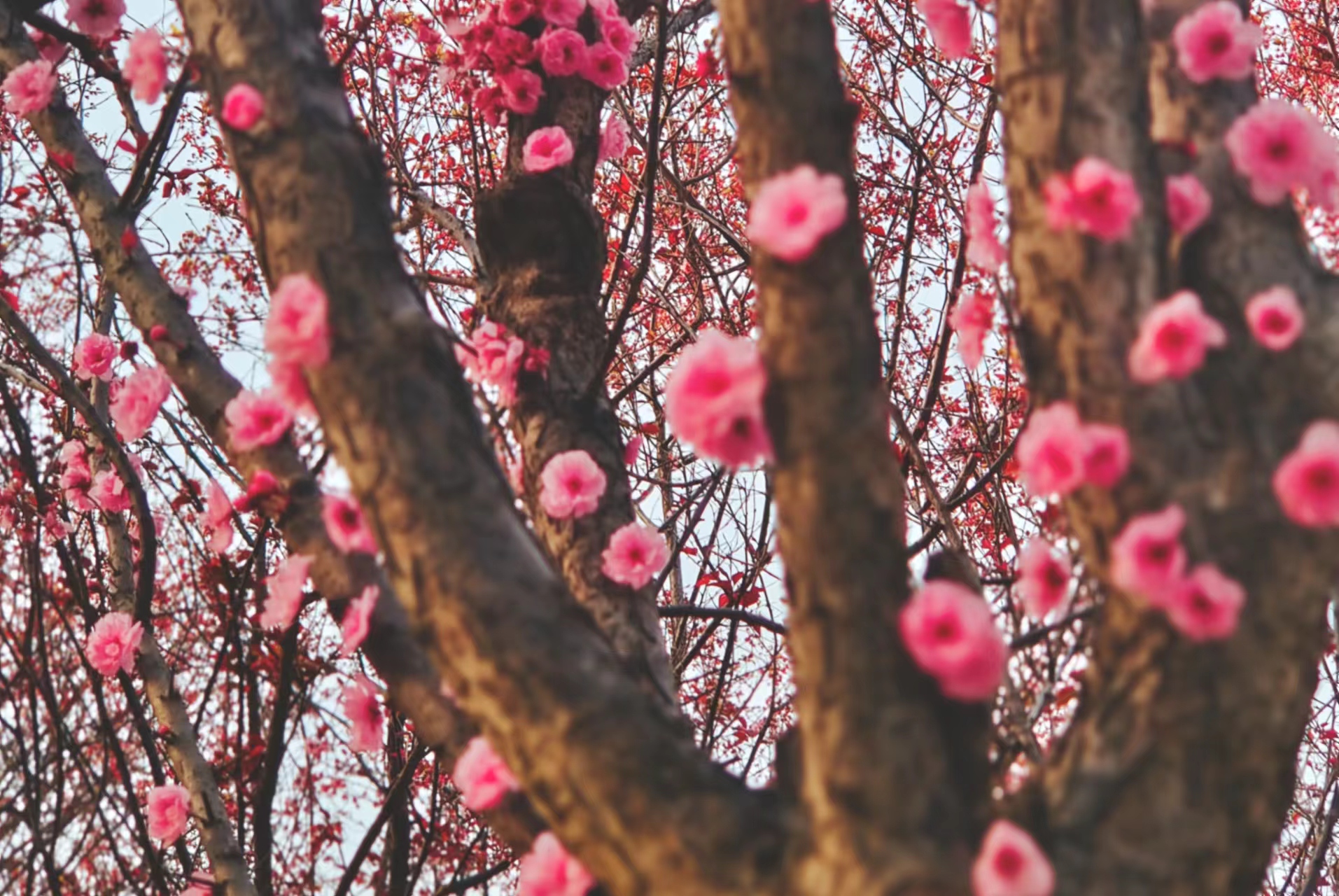 ���p���վ� ̤�ϊ^����