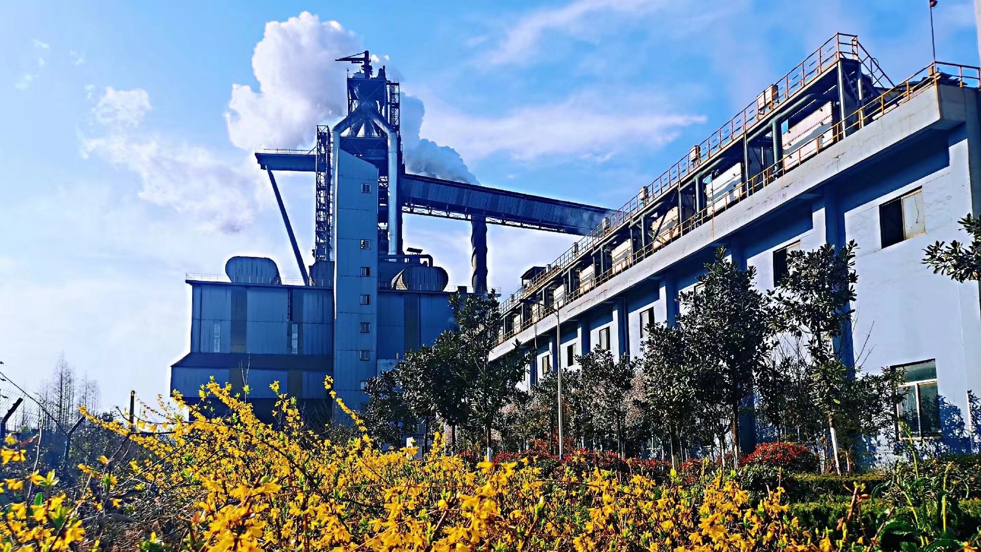 ���ӾGɫ�}����׌�����B(t��i)�ֵ���c����̼�rֵ���໥���