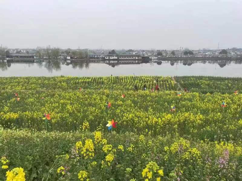 �Ͳ˻��_(k��i)���ż��S����(d��ng)�r(sh��)