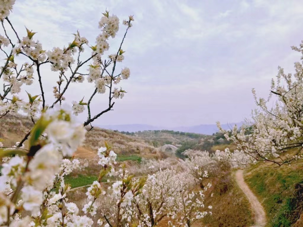 �o̎���w�������������ڝh��