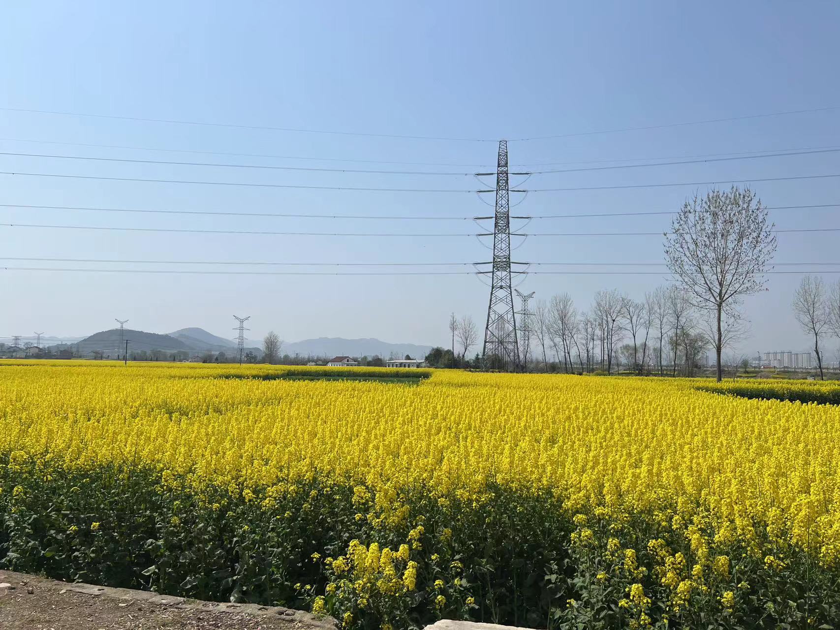 �����Ͳ˻���