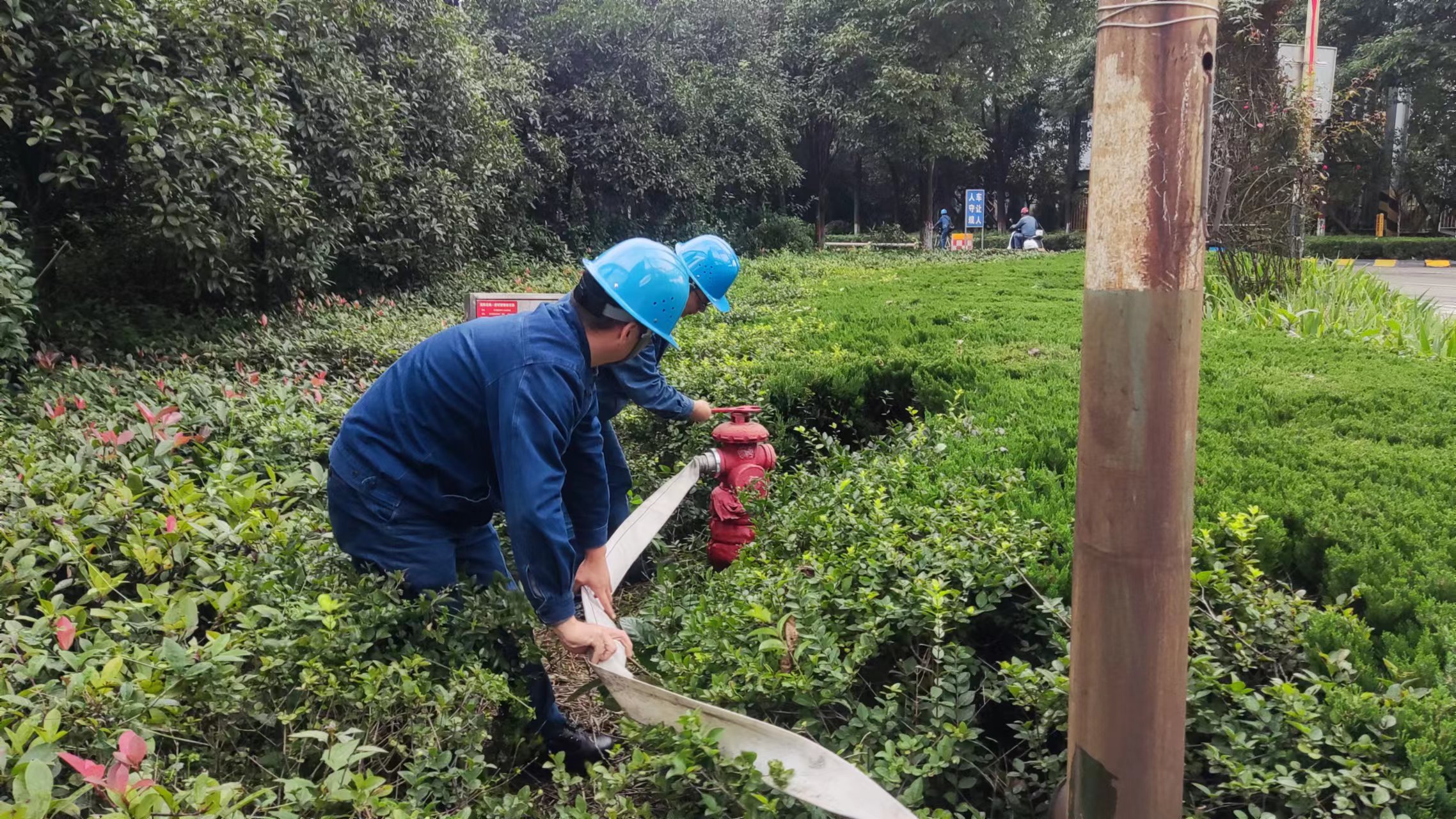 �h䓹�˾�_չ�ۉm�汬�¹ʑ����ݾ�