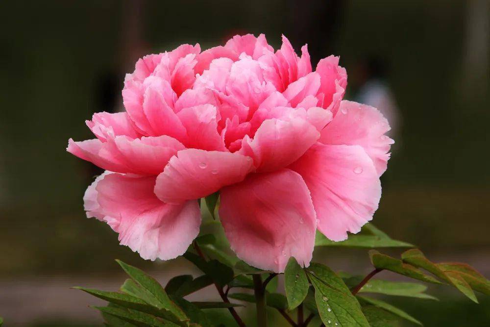 ĵ���L(f��ng)�A���A�Ǿ`��