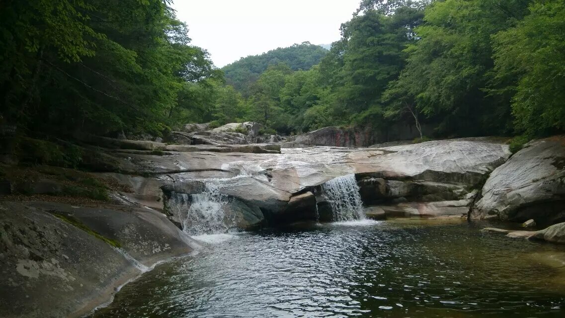 ���Fɽͽ��ӛ