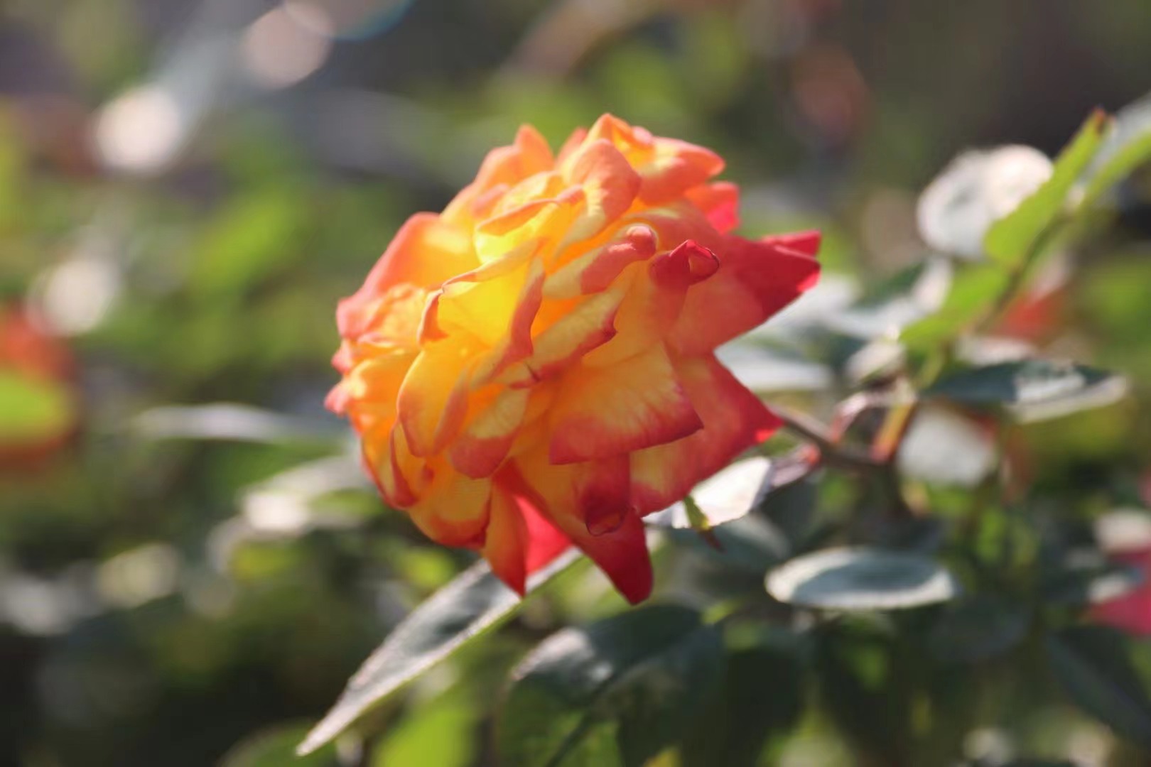 ��Ҫ������Ͳ���ֻ������