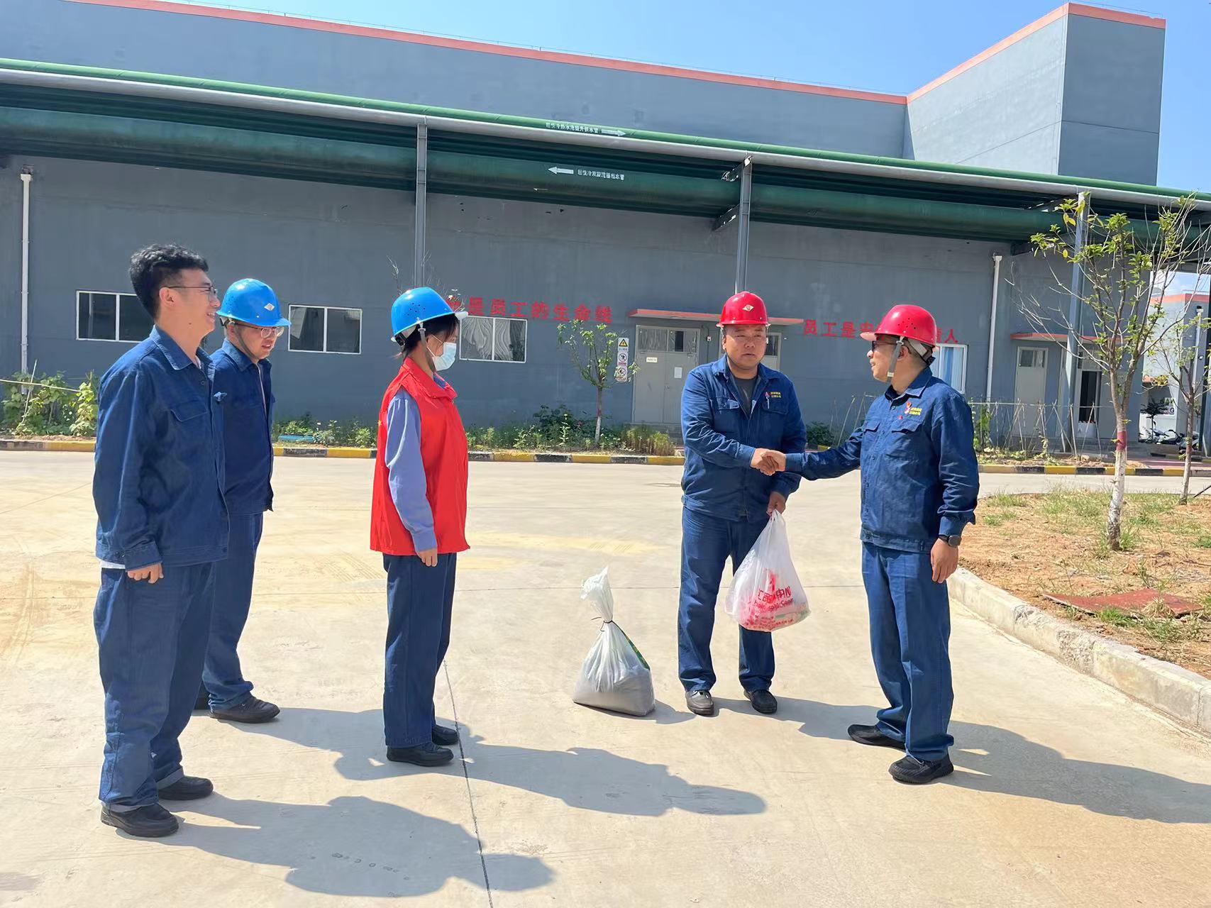 ��Ԫ�x�� �������h��������t��ɫ