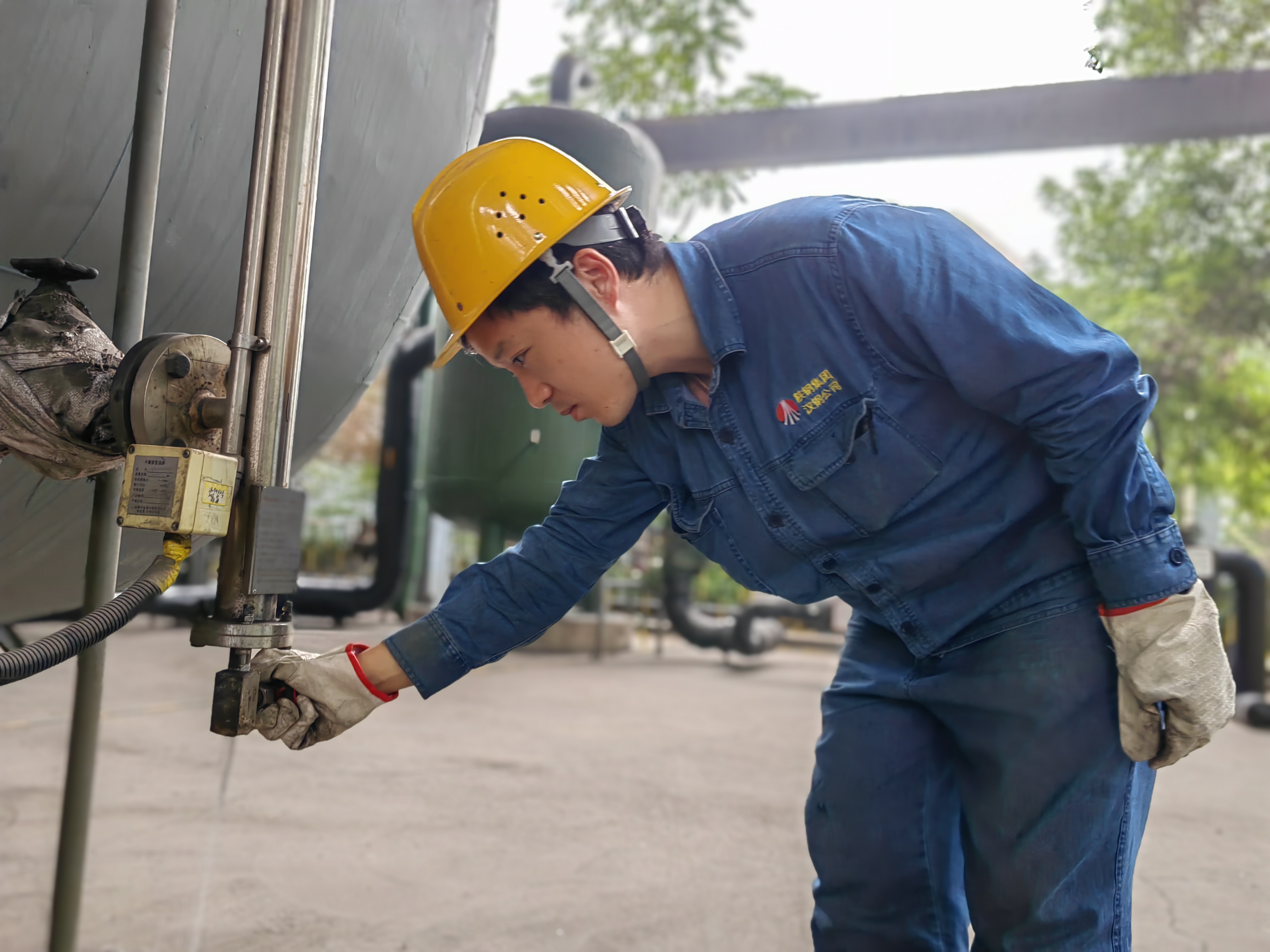 �������������T��F֮��