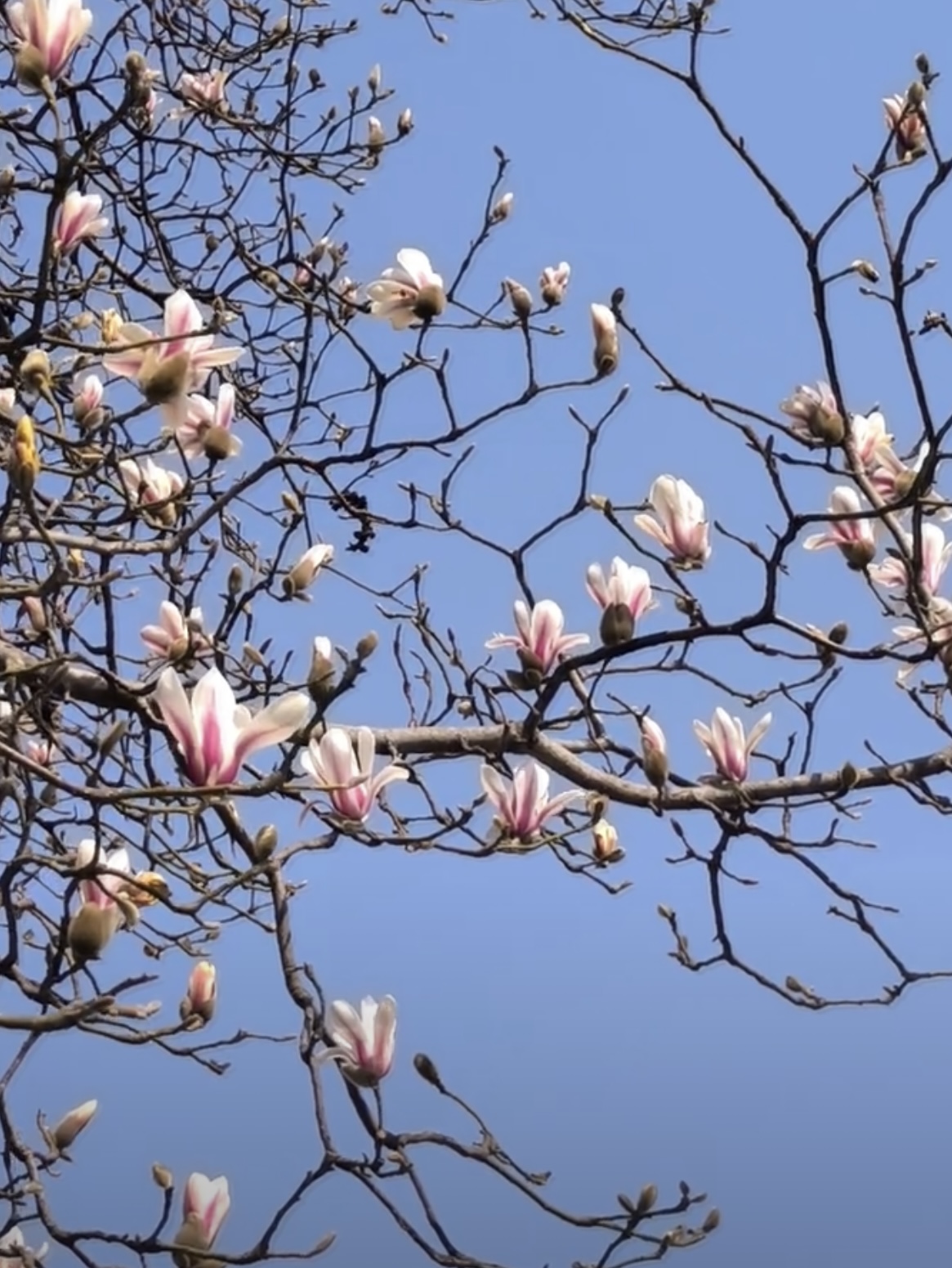 �ɱKʢ�M(m��n)�����L(f��ng)