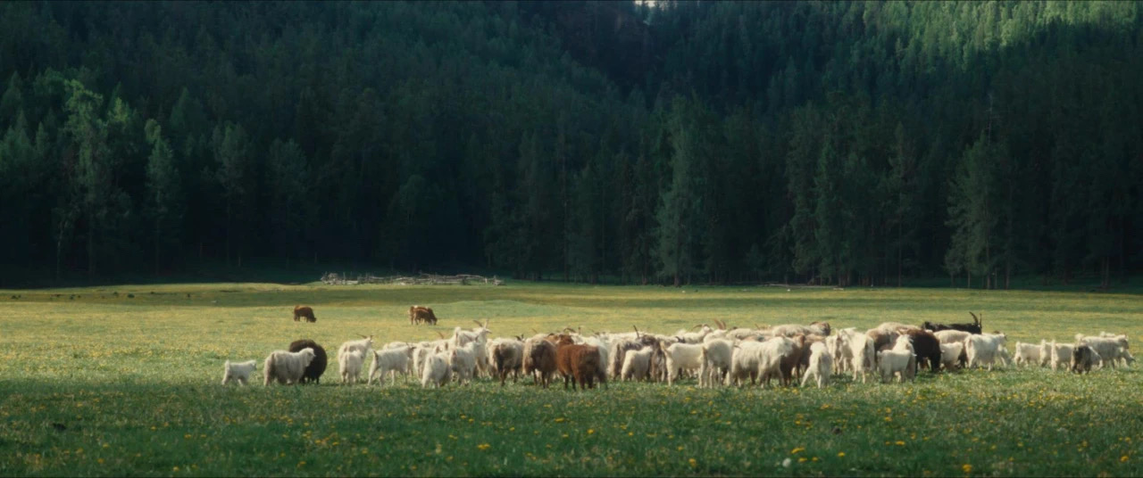 ���������c�x���Ђ�(g��)�s��