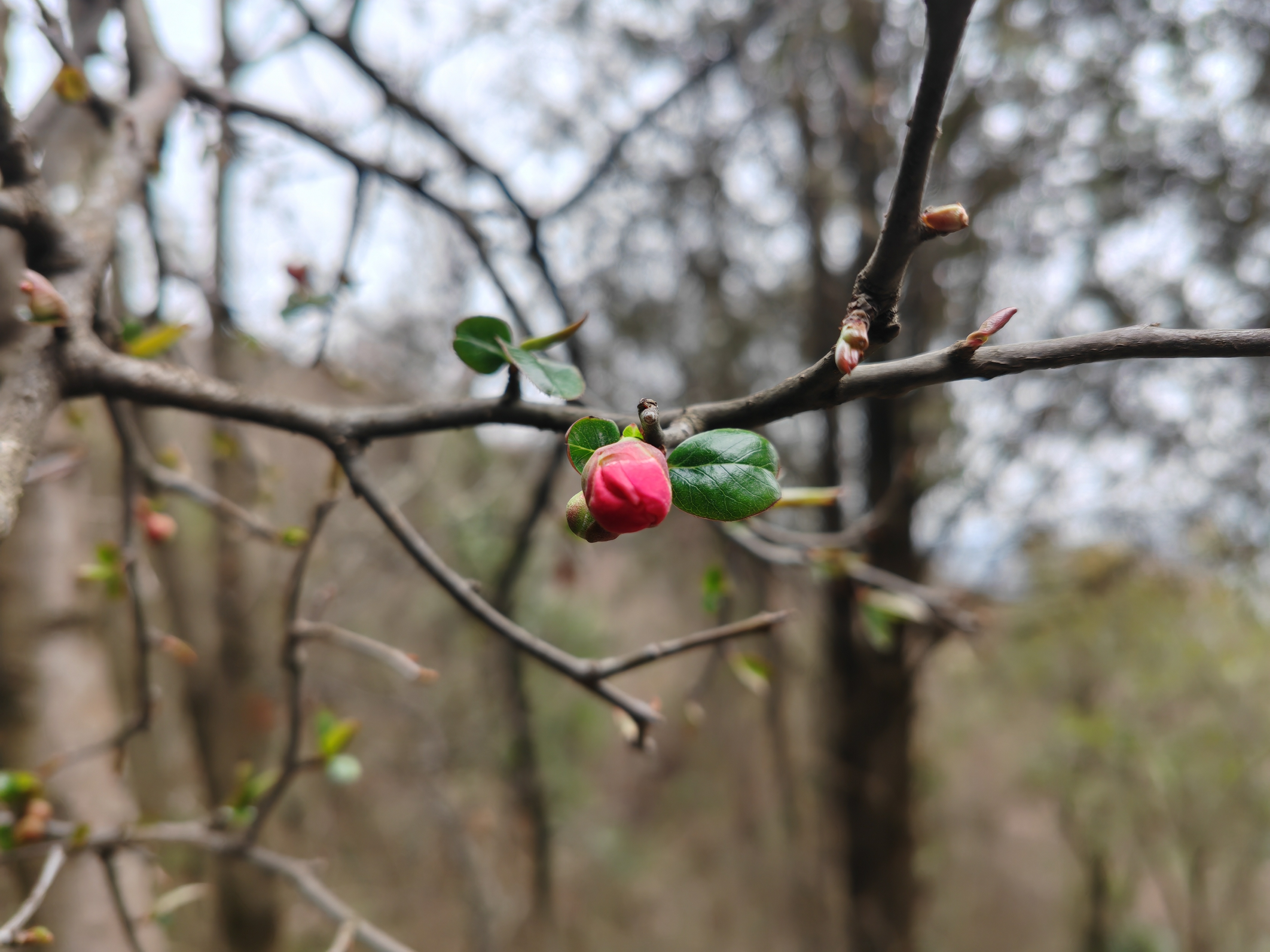 ��������ǡ�