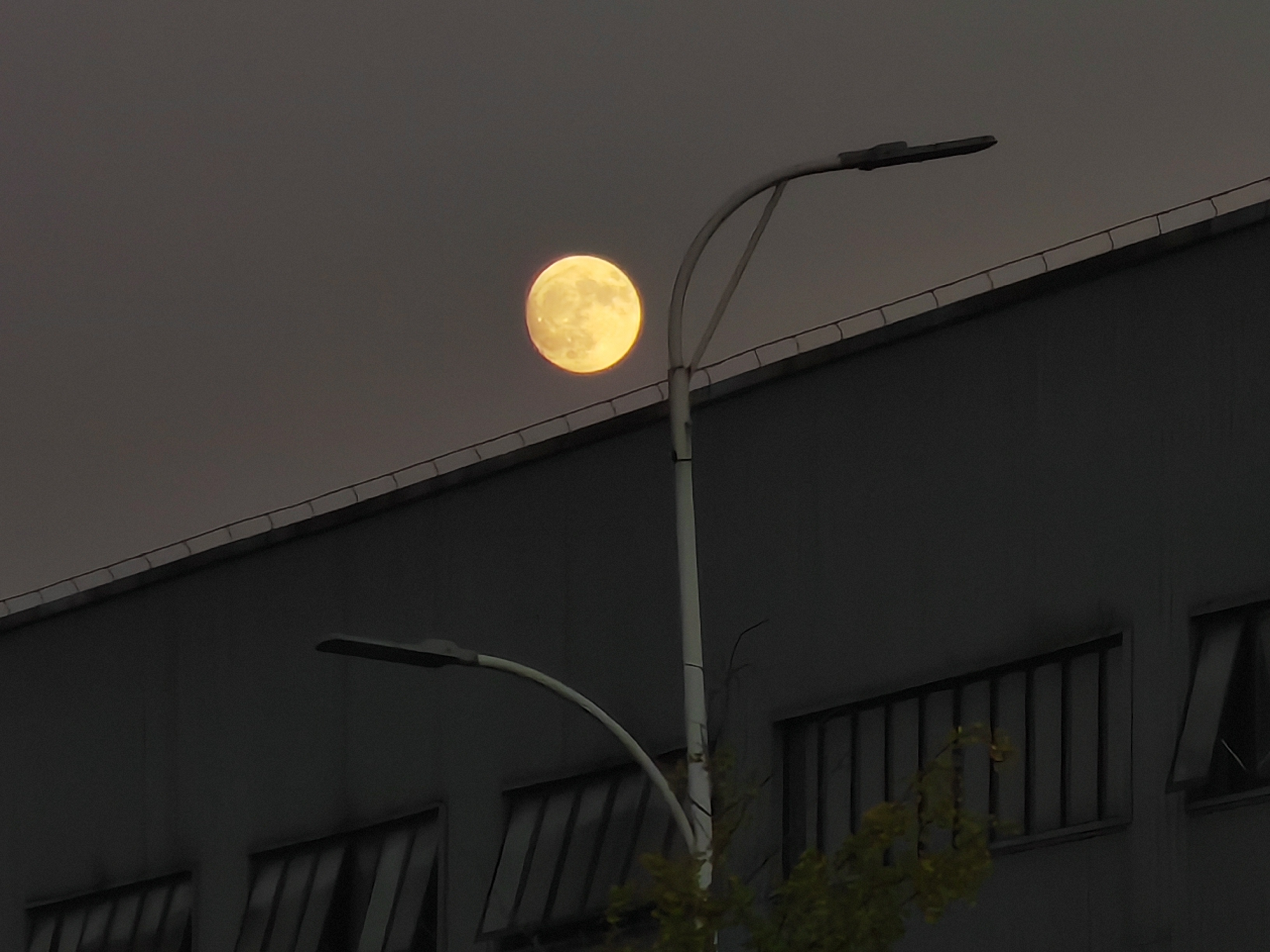 �����b�������ļ���˼