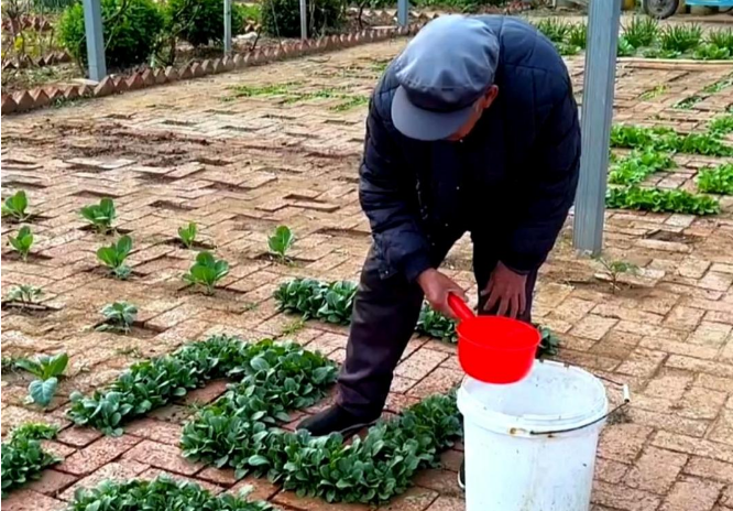 ���¼�Ӱ����ů���g