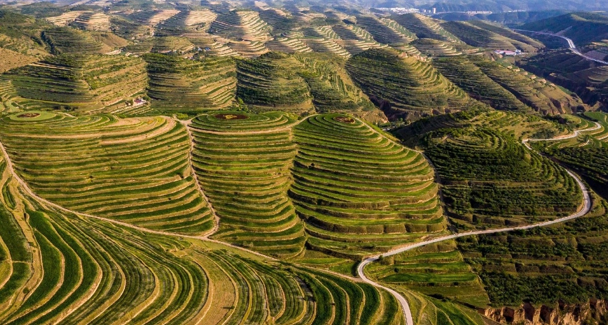 ꃱ��� �ڄ���