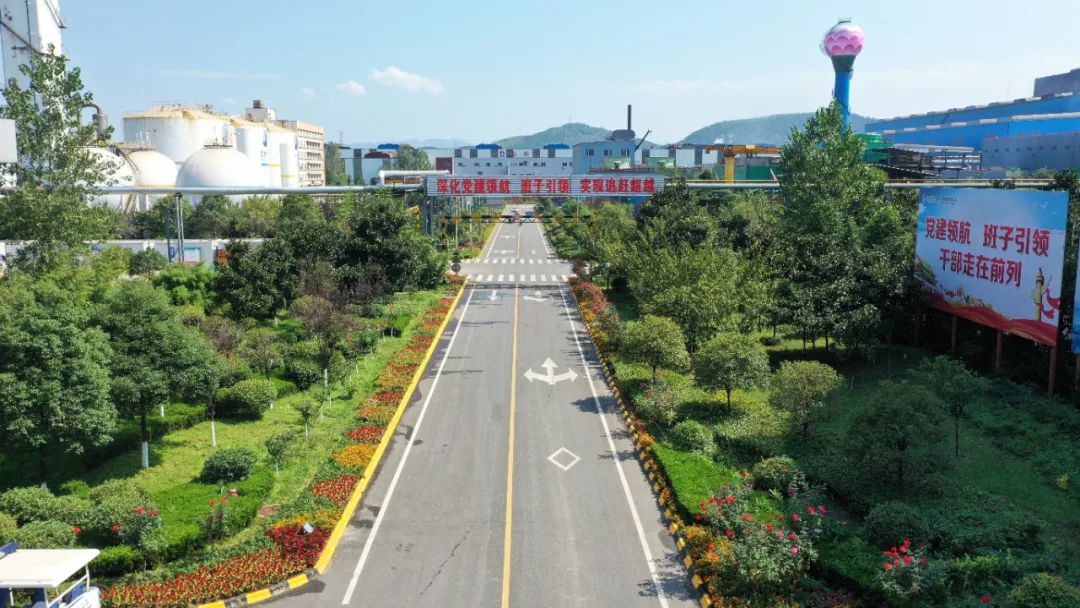 �@�Ǵ������@���Ǵ�