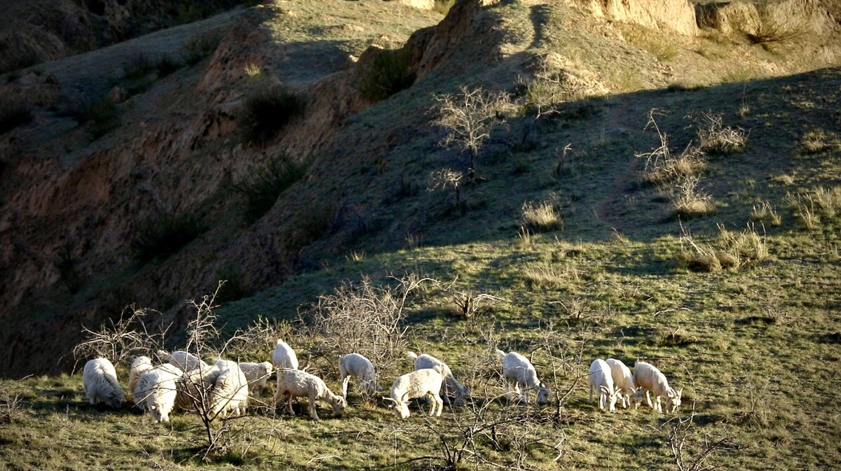 �Ҹ����ڄڕ���