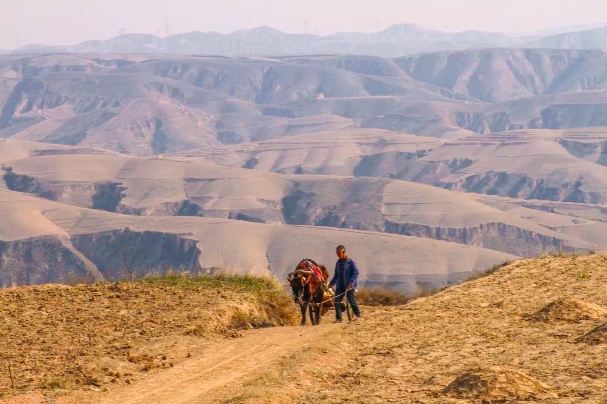 �Ҹ����ڄڕ���