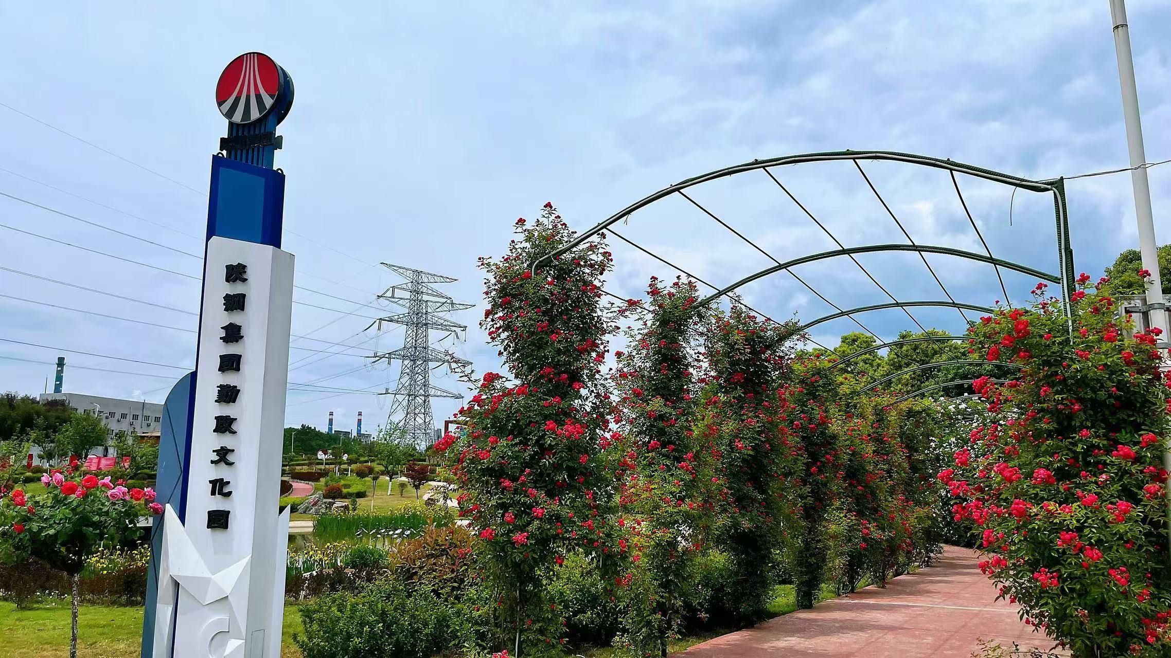 �L�ͷ���(w��)����ɫ������������ɫ������(n��i)������(w��)�����������M(j��n)���ڷ���(w��)�c�ΰ���������