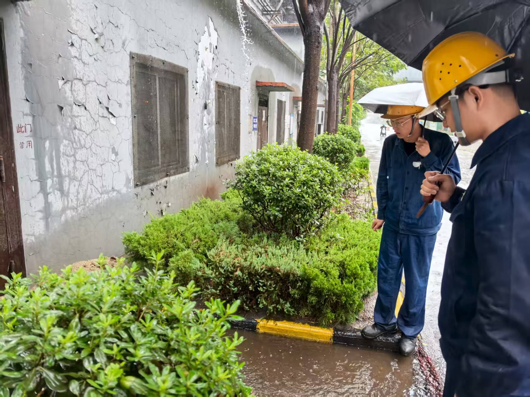 һ����ȫ�T�ĸ���