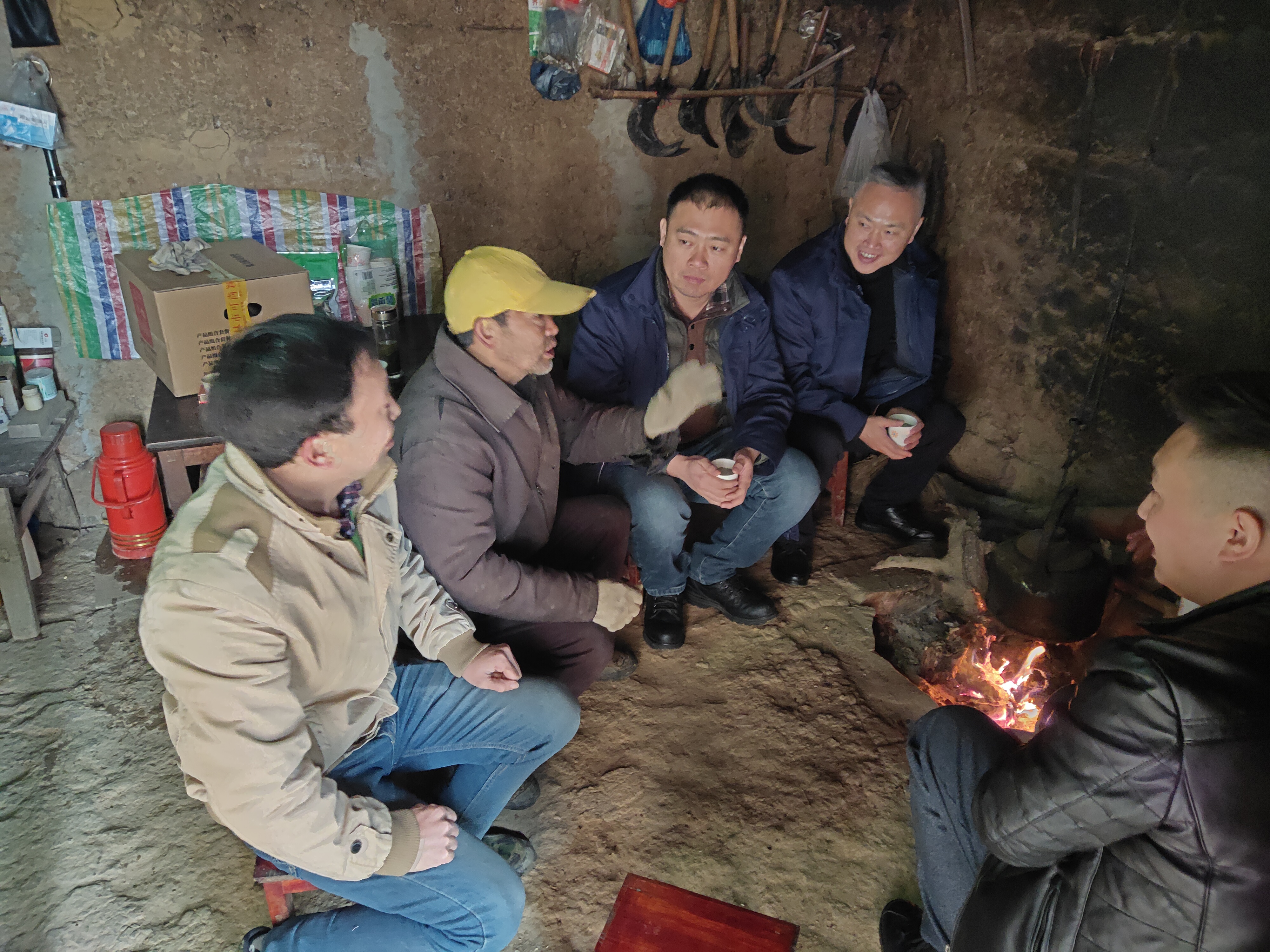 �q����������˾�hίο��(w��n)�������T�����~����