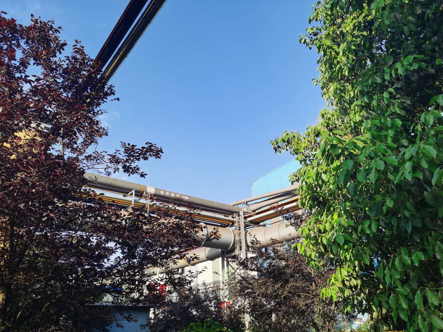 �������h䓡�׌�����{�����v䓳�